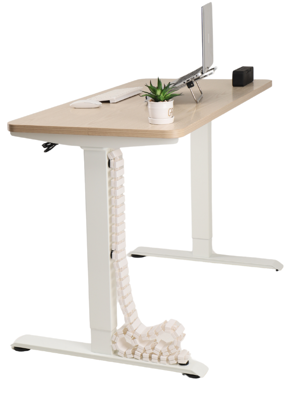 Elektriliselt reguleeritavad kontorilauad, seisuk, seisulauad, elektrilauad